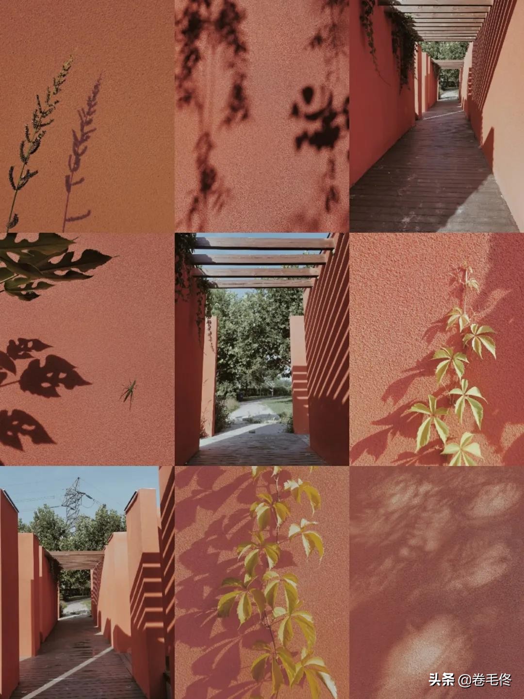 手机拍大片人像,如何拍手机照片最好看