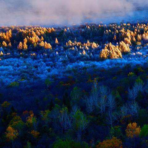 世外桃源仙游,南岔仙翁山山顶