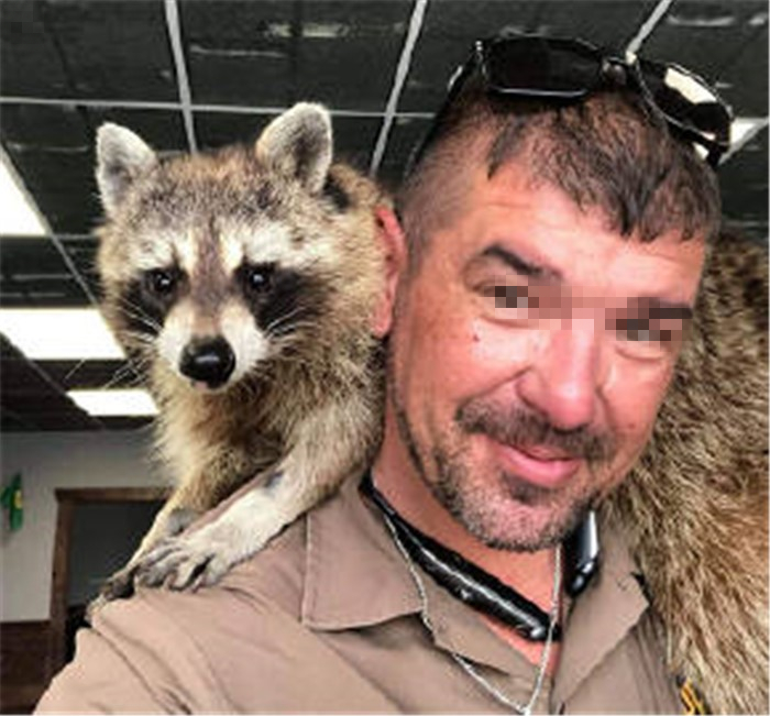 邮递员身边总有小宠物，还偷偷上他车，竟是被其身上的气味吸引