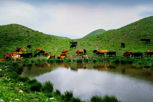 若你向往世外桃源,这个双旦来黔东南绝不后悔