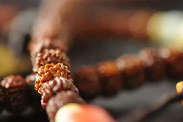 金刚菩提包浆能混住瑕疵吗,刚入手金刚菩提有斑