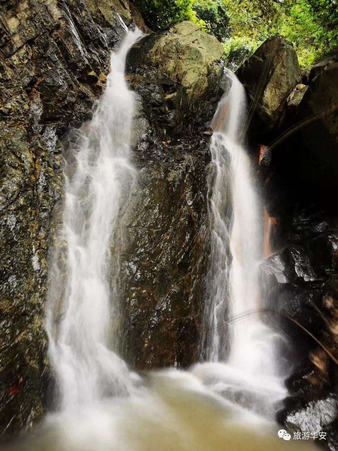 春风十里不如你,我在华安等着您