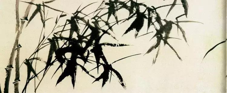 郑板桥画的是什么品种竹子,郑板桥画的横幅竹子