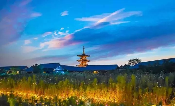 四月物语|桃杏梨大美中国、世界唯一！江浙沪紫藤芝樱绽放！