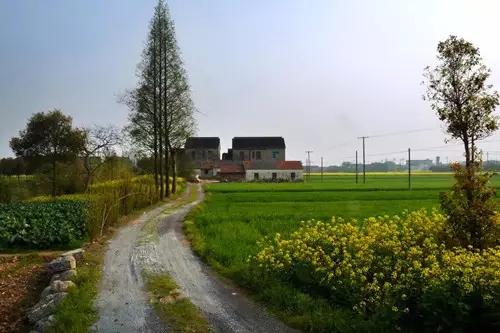 下一站，回家！回到大灌南的怀抱