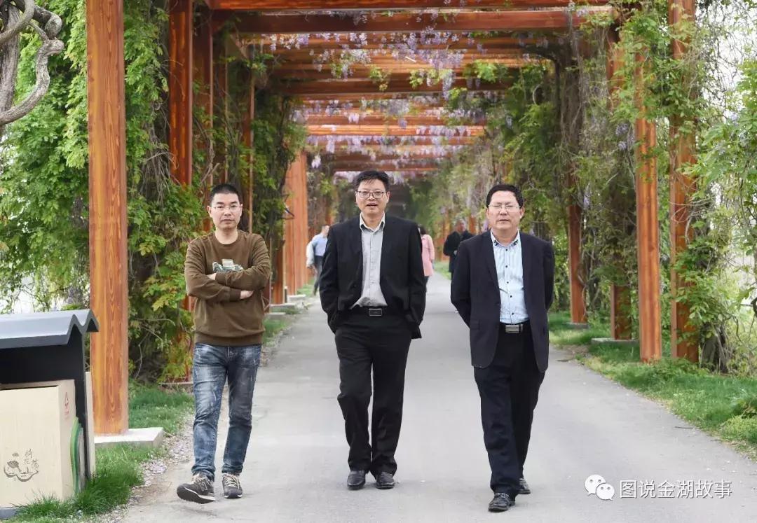 金湖荷花荡灯光秀,金湖荷花池塘美景