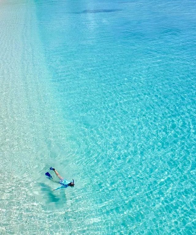 明星最喜欢的青岛酒店,明星最喜欢去的三亚酒店