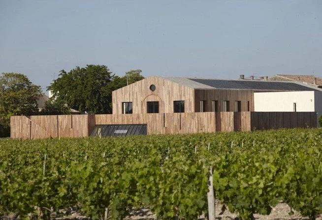 拉菲集团ip,拉菲集团是做什么的