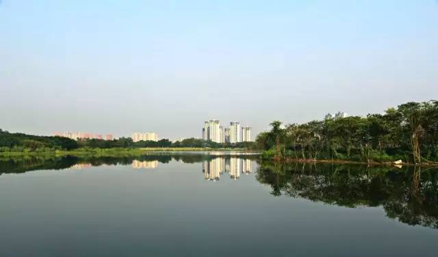 看看纽约中央公园的美景,真实的纽约中央公园