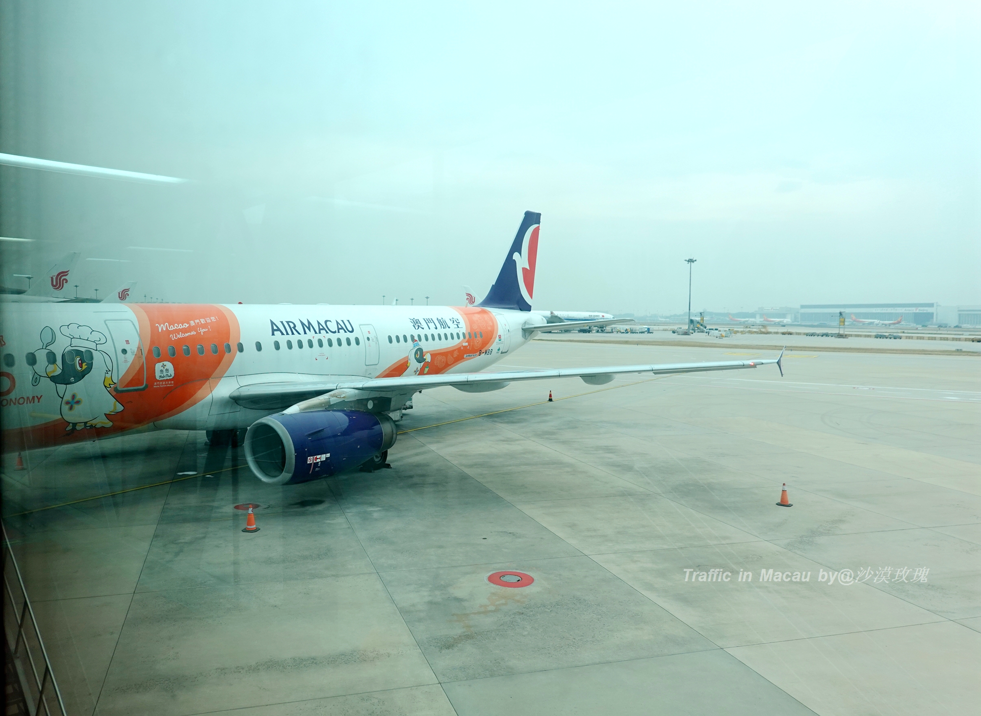 直飞or陆路过关,“非常时期”海陆空玩转澳门全攻略