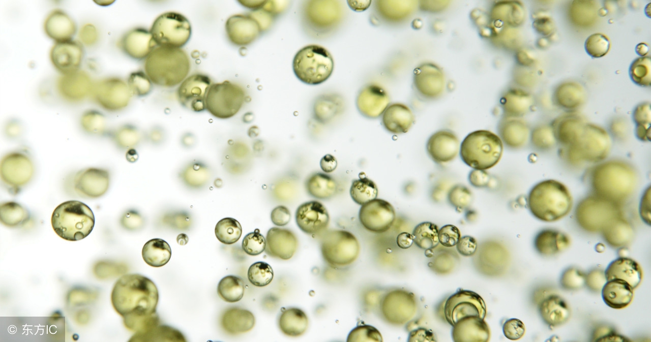 胶原蛋白吃了就补胶原蛋白吗,胶原蛋白吃了容易癌症吗