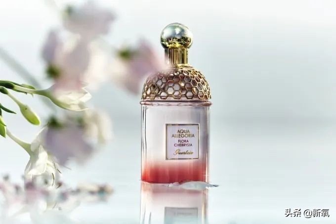 刘亦菲从清纯小龙女到硬汉花木兰,从洗头妹到影后的小宋佳