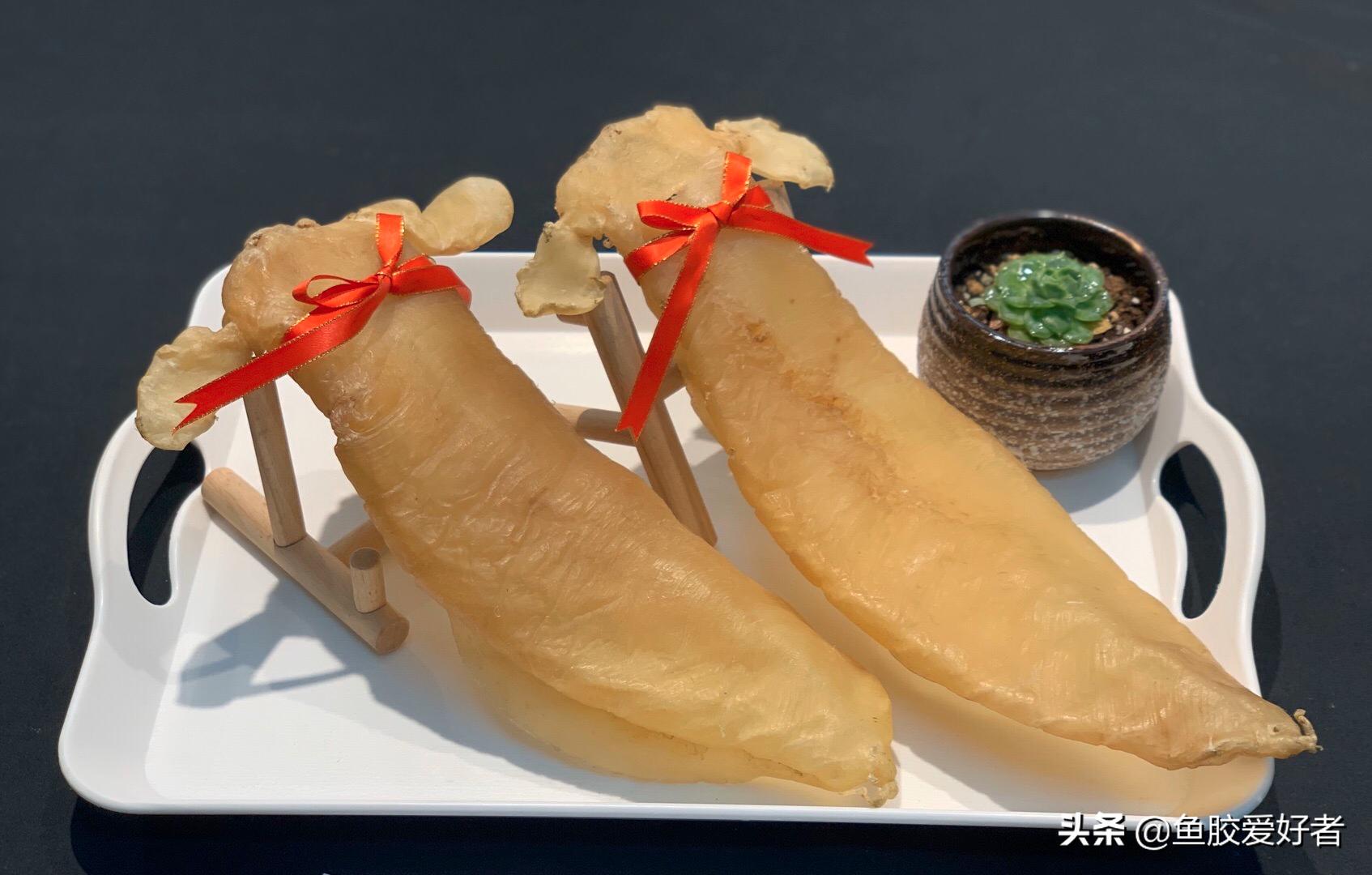 鳘鱼胶有哪些品种,赤嘴鱼胶哪个品种比较补血