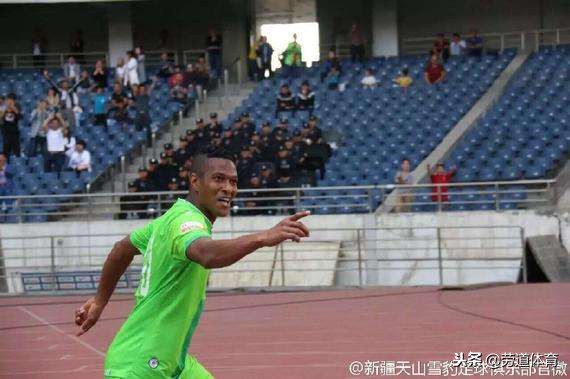 天山雪豹年年保级,新疆天山雪豹为什么退出中甲