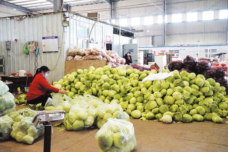 紧急采购疫情防控物资内控机制,直击疫情保供