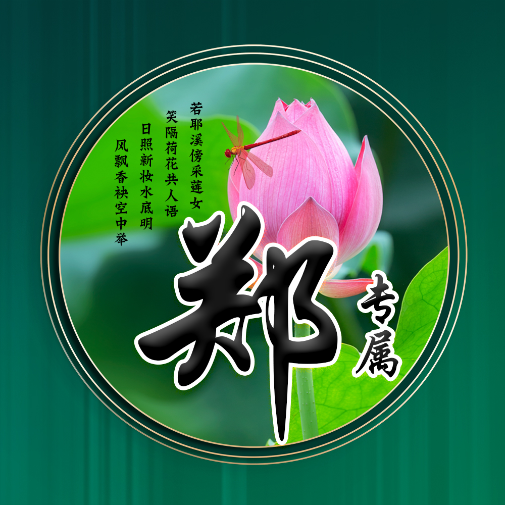 100张唯美荷花姓氏头像,适合做头像的荷花图片清晰点的