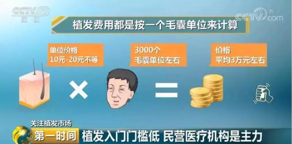 秃如其来视频完整版,秃如其来为哪般