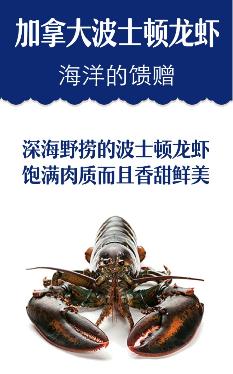 长春生鲜冷链配送,长春蔬果生鲜配送新鲜直达