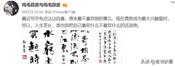 45岁徐静蕾简介,46岁徐静蕾水彩书法