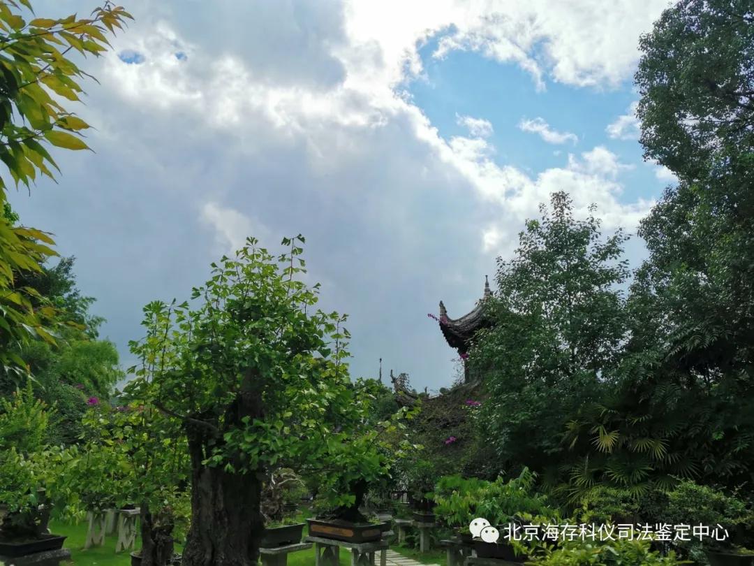 对网瘾少年该怎么管教,网瘾问题少年教育