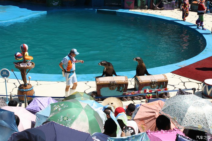 大连老虎滩帆船出海一日游,老虎滩金石滩棒棰岛