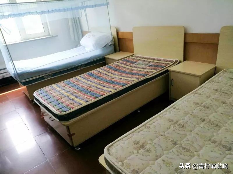 沈阳三校位于沈阳什么区,沈阳省三校有哪些