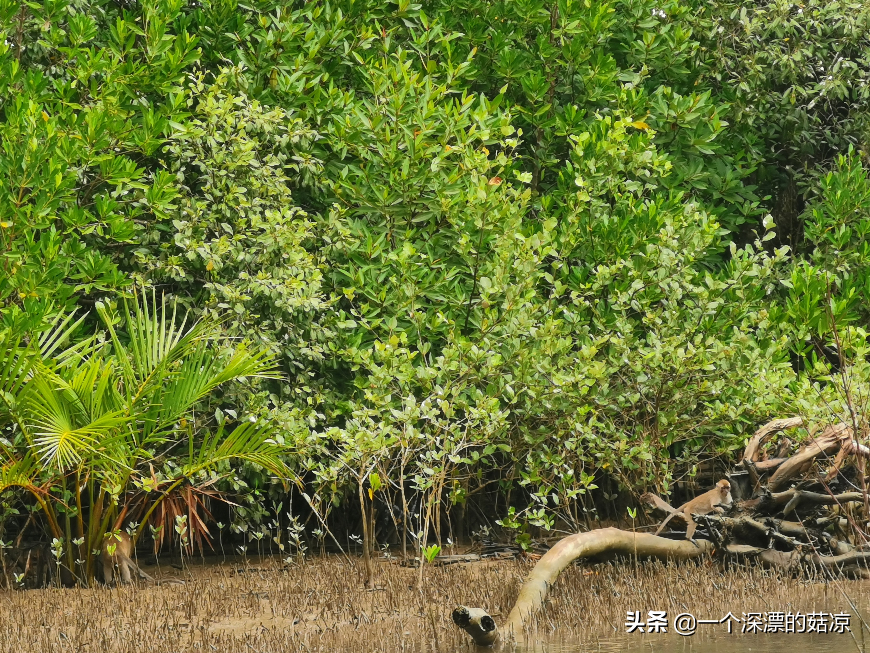 在夏天结束前去海边,在夏天结束之前去一次海边
