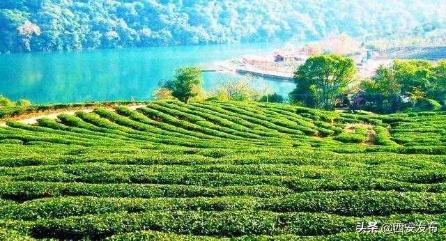 新华社权威解读经济热点,新华社当前经济形势