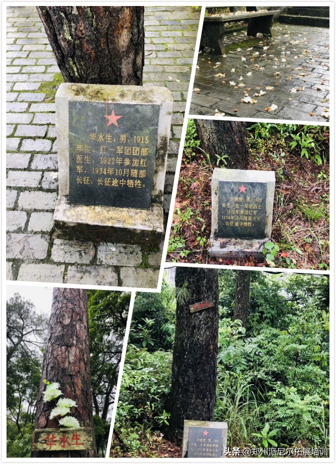 河南林州红色教育培训基地,鹤壁市红色教育培训基地