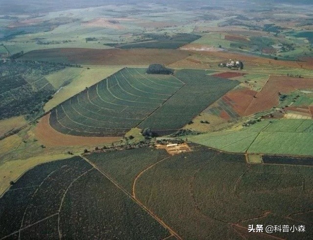 为啥巴西占了南美洲那么大的领土,巴西哪里的移民多