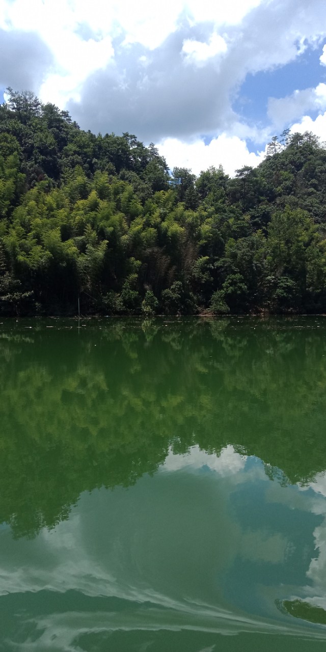 九州文学南京诗社作品,九州文学社作品