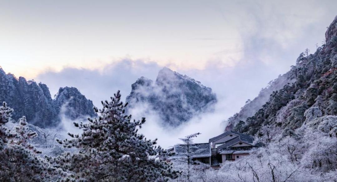 袁明忠|雪压梅枝梅压雪双铺锦地锦铺双(原创回文诗20组)