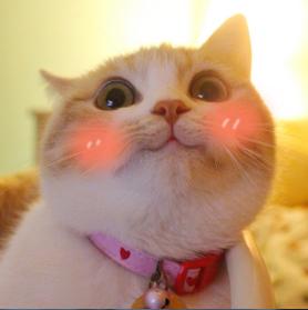 心态崩了怎么办最简单的方法,心态崩了该如何重新开始