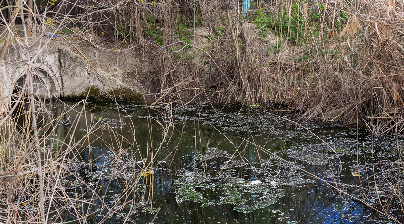 舌尖上的安全感悟,舌尖上的安全全册