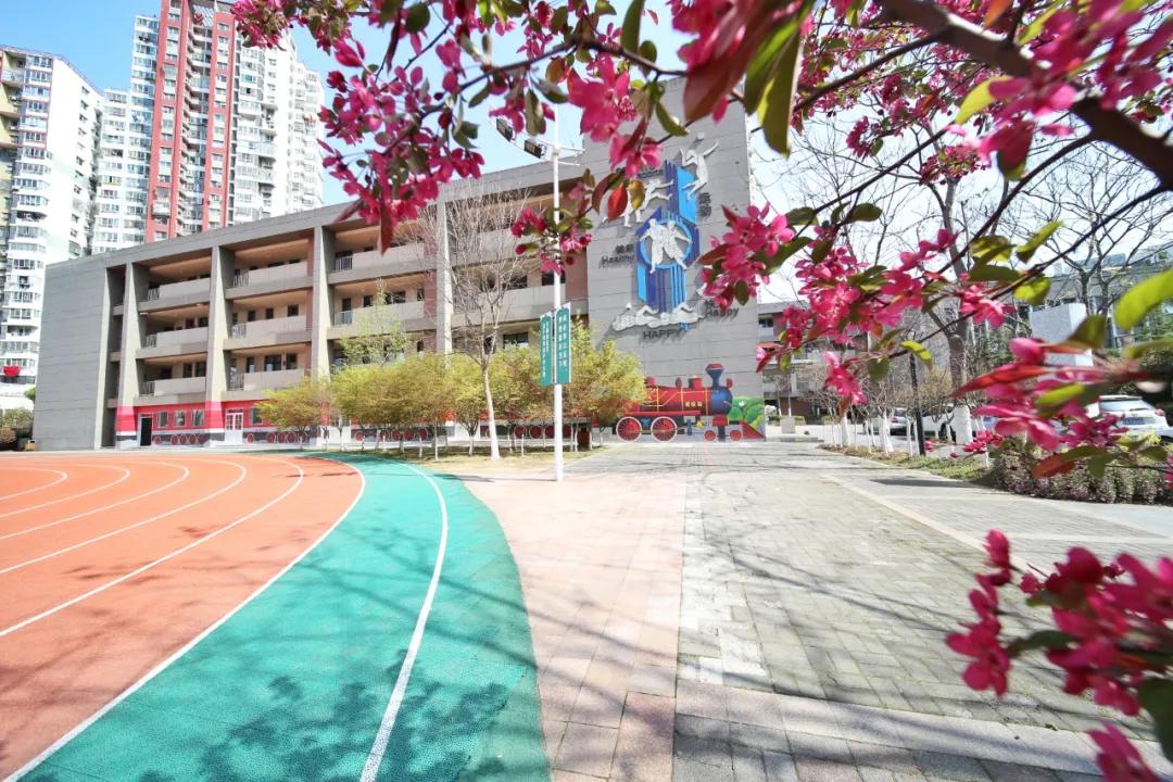 南京这所小学“弯道超车”,做了什么?