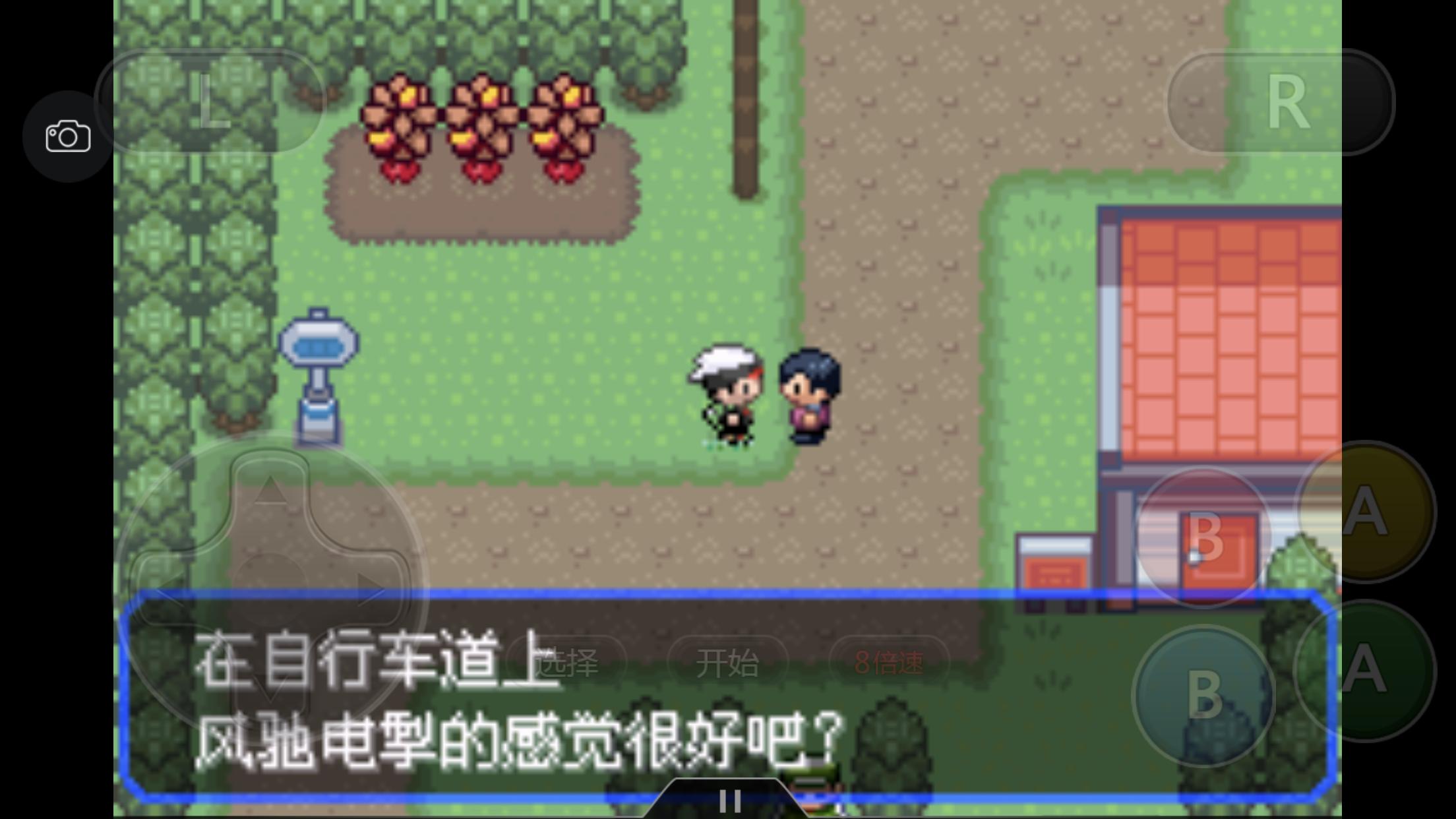 究极绿宝石一周目神兽攻略 (究极绿宝石5一周目能不能mega进化)