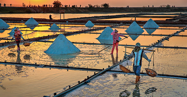冻冻才开心——谈谈破朔迷离的*干粉冻**