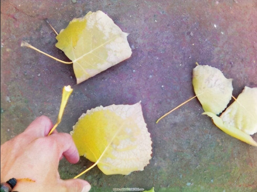 儿时经典游戏全集,儿时记忆游戏经典回味