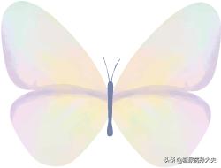 拿什么拯救你我的体重,拿什么拯救你我的肥胖