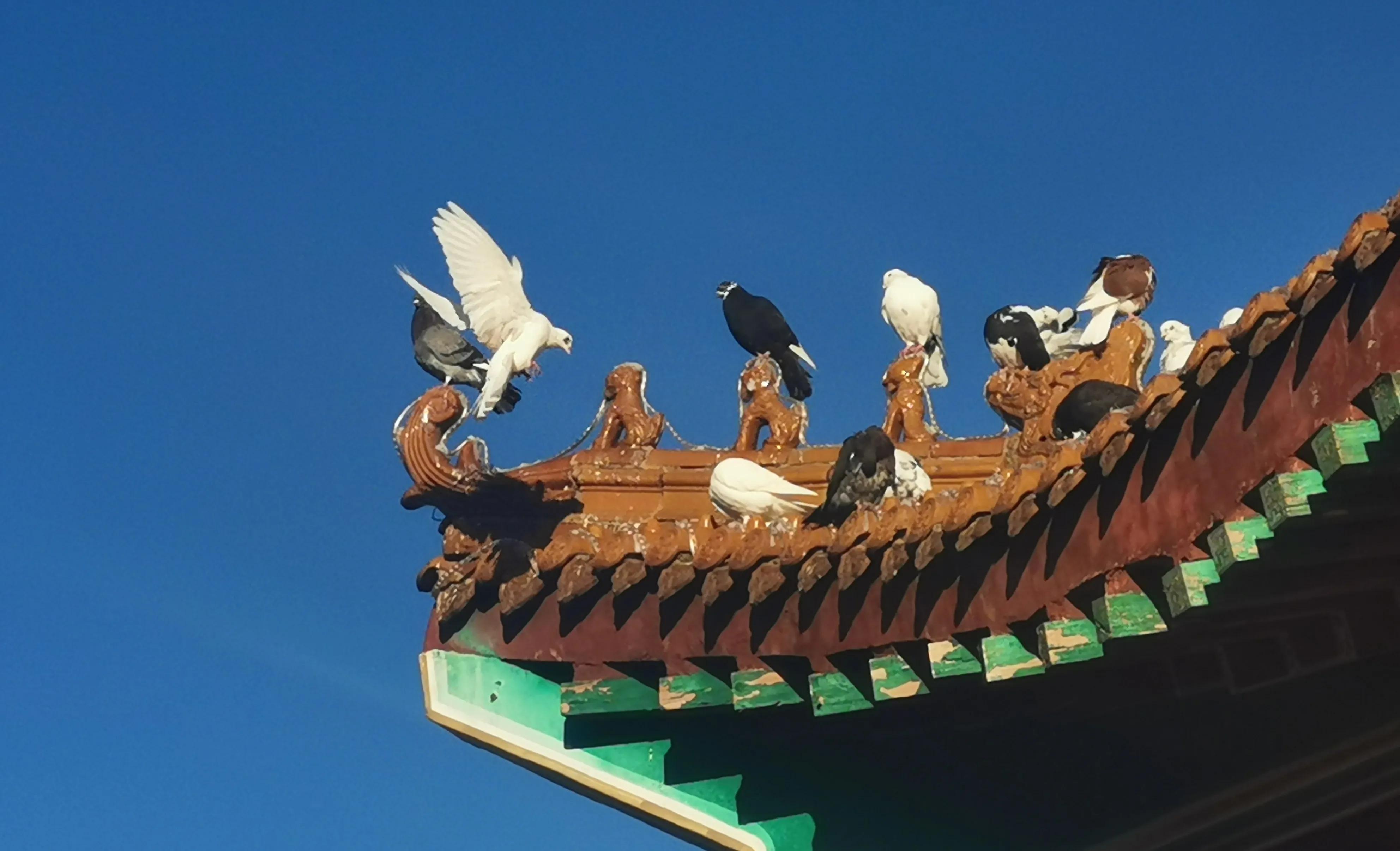 帝都附近最好的温泉度假村,四大温泉度假村