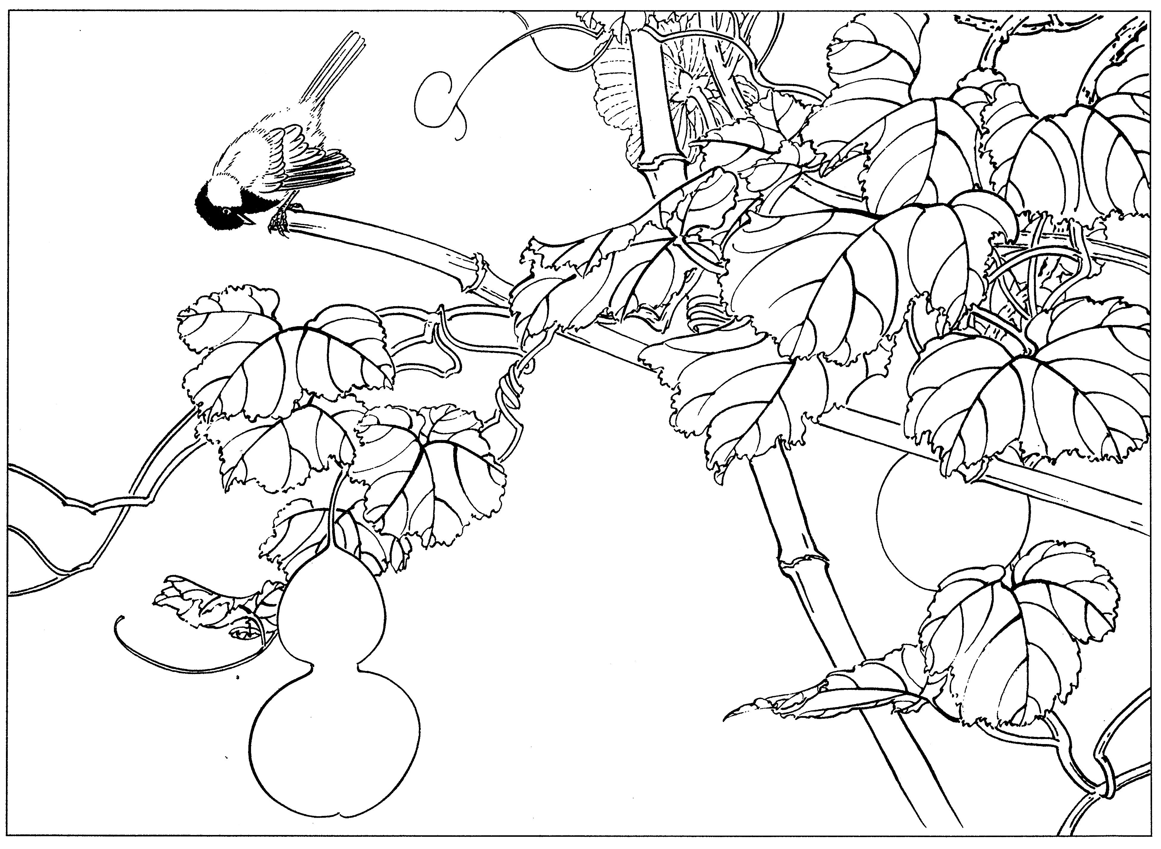 花鸟工笔四条屏白描高清大图,牡丹六尺横幅白描工笔花鸟底稿