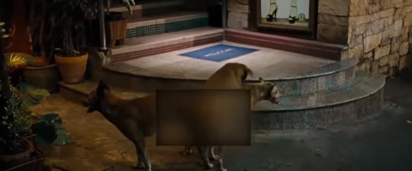 8元出*身卖**体，一天接40客人…纪录片揭底层*女妓***身卖**血泪