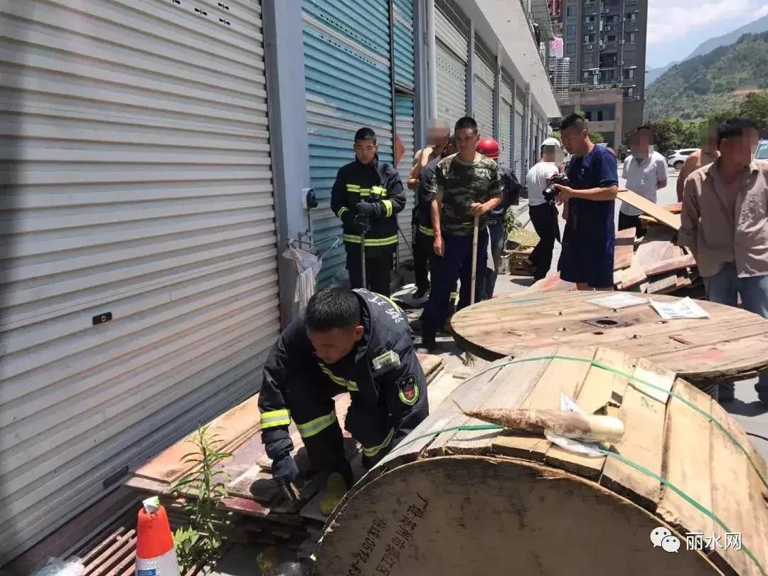 惠州小区发现眼镜蛇,一小区出现蛇