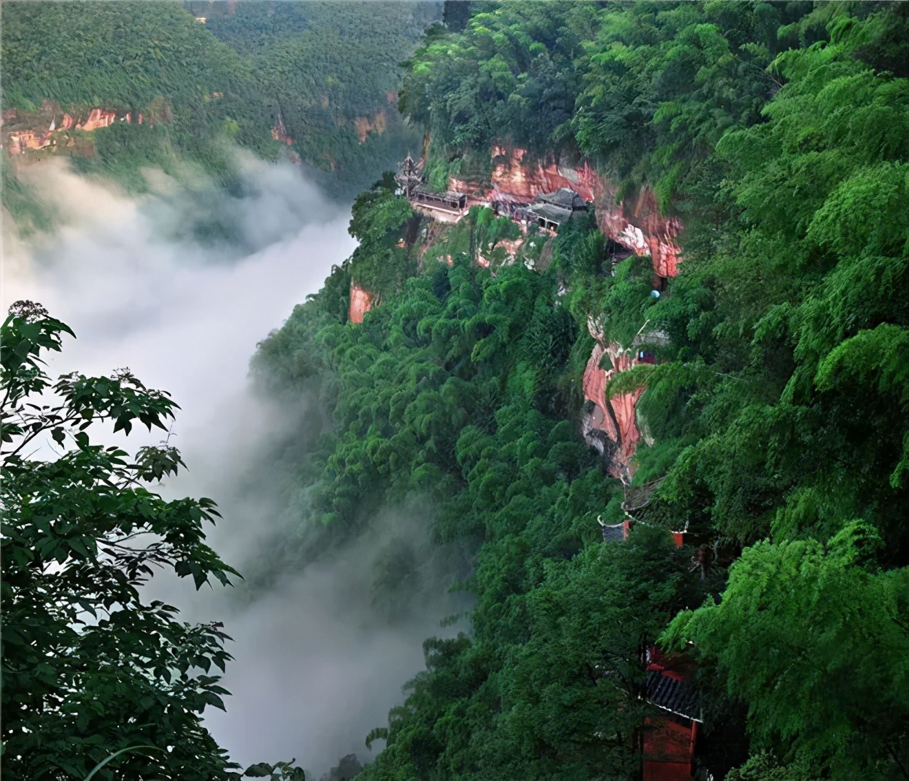 四川宜宾市长宁县竹海新闻,天府竹海景点