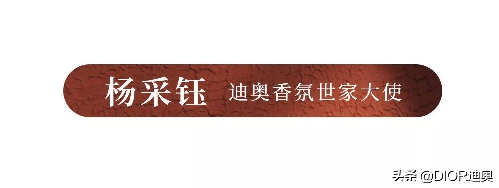 dior迪奥全新bobby手袋经典优雅,迪奥Dior新款手袋