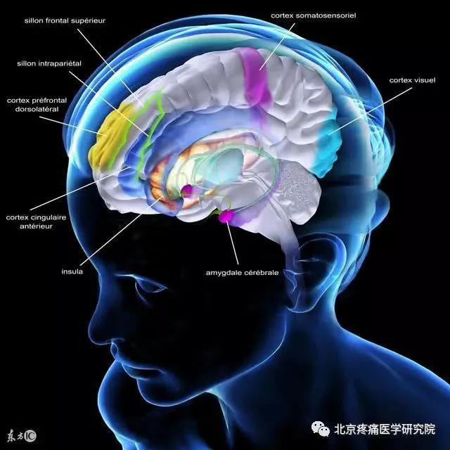 偏头痛的中医辨证论治方剂,请问偏头痛的病因病机是什么