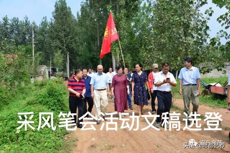 文学作家采风活动座谈会,文学采风活动作品