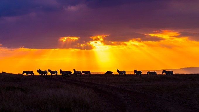 旅行攻略·肯尼亚:跟随《狮子王》震撼你的视觉,哈库拉,玛塔塔