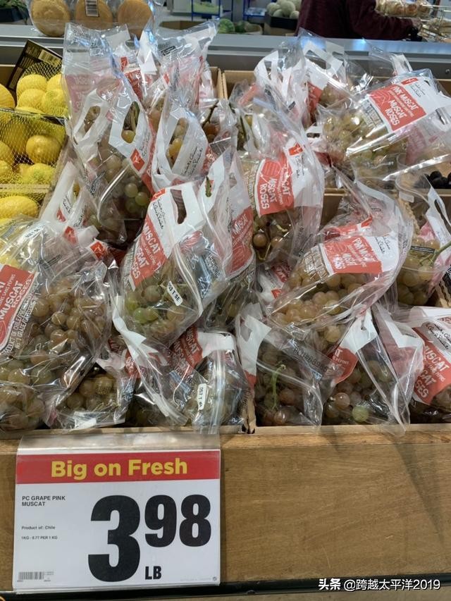 加拿大多伦多costco购物必买 (加拿大必买超市)