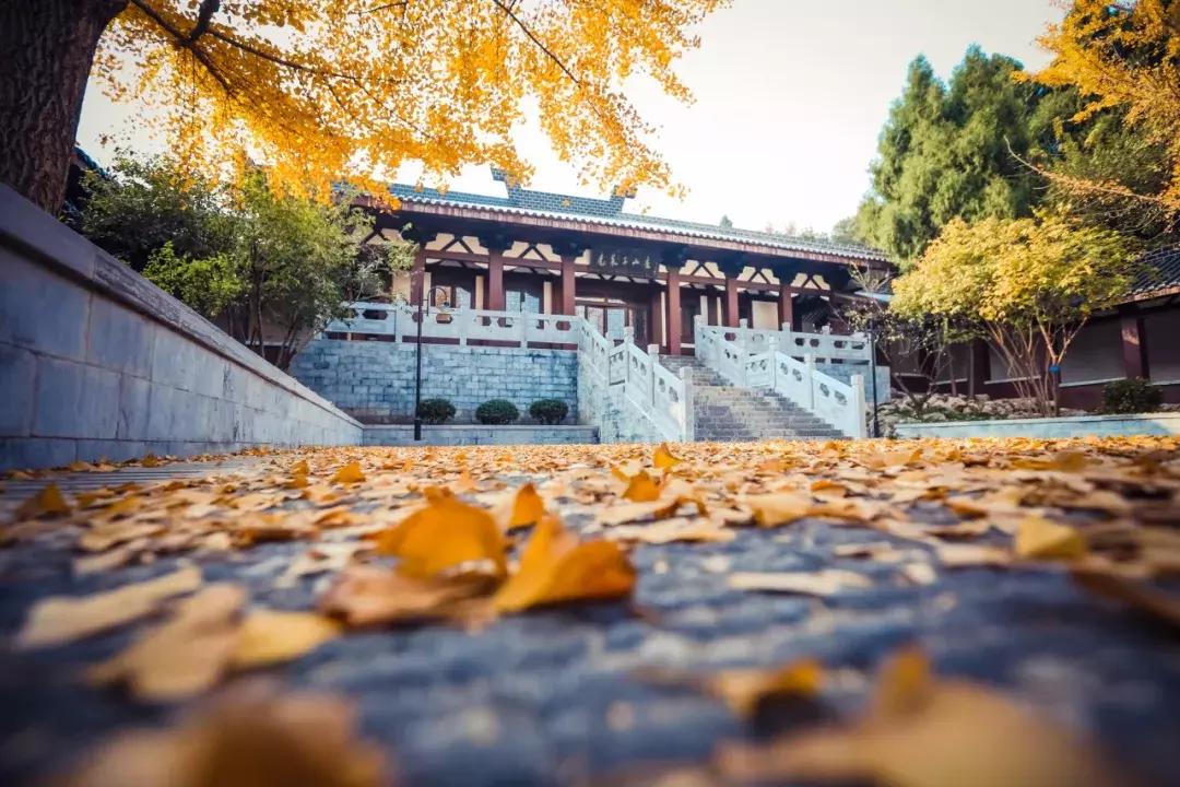 荆门市简介,荆门是什么样的地方